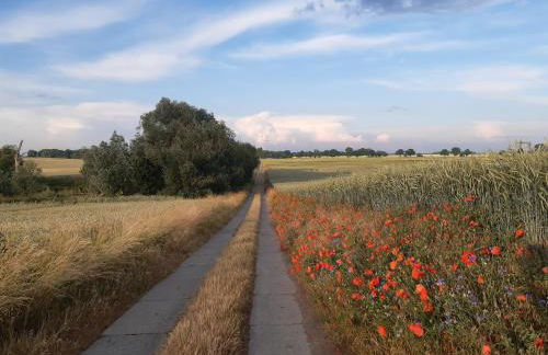 Kulturfreizeiten Ferienwohnungen - Photo 53