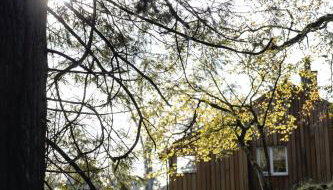 Timber Cottage - Foto 2