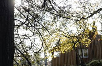 Timber Cottage - Photo 2