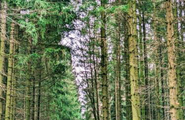 Haus Paradiesecke - Foto 3