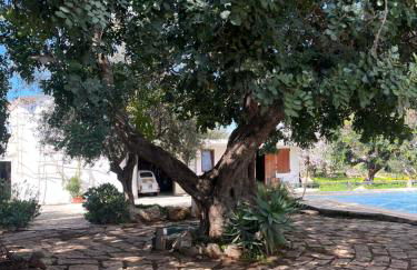 La Casa del Carrubo con Piscina condivisa in campagna vicino al mare - Canestanco 18 - Foto 56