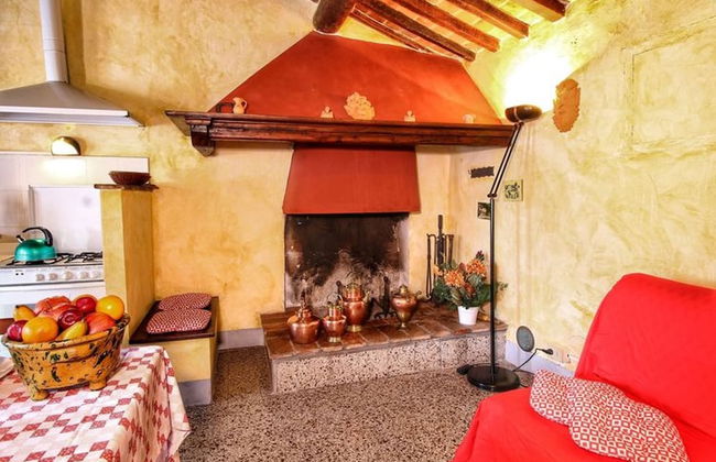 Bellavista farm of Quercini Maurizio - Foto 30