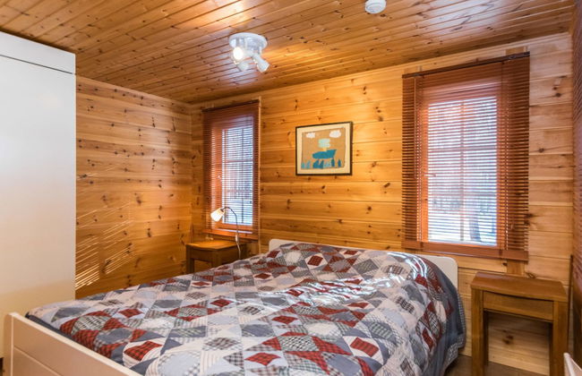 Puolen hehtaarin metsä - Foto 12