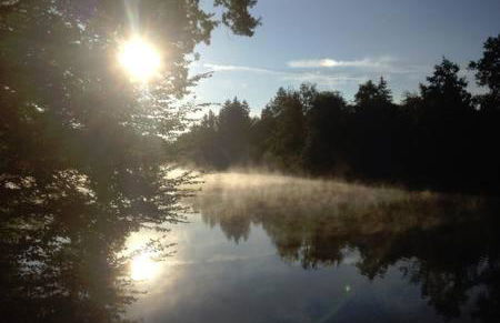 Ferienhaus Bindow - Foto 20