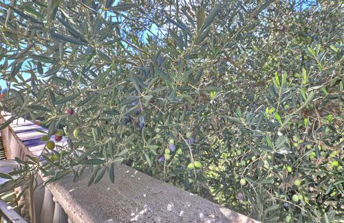 Apartment Rosa - Foto 27