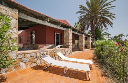 Vivero El Suso - Foto 18