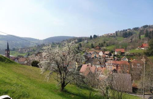 Le Chalet du Tanet spa sauna terrasse en Alsace - Foto 70