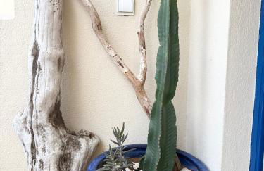 Bemposta 99A - Photo 16