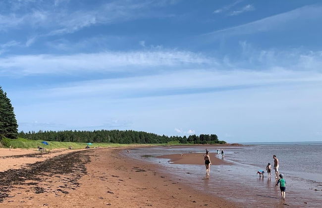 Wild Pines Cabins - Photo 24