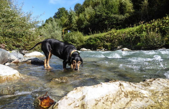 Mountain Apartment in Bad Kotzting - Foto 25