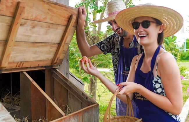 Aula de cozinha tailandesa - Foto 6