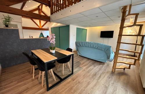 Mini-Loft, terrasse 24m2, Internet Haut-débit, garage privé et place de parking - Foto 21