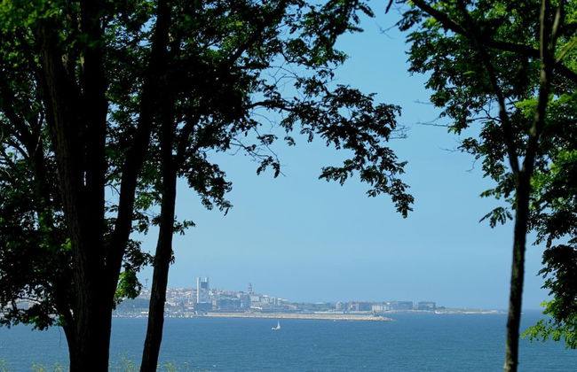 Aparthotel Attica21 As Galeras - Photo 54