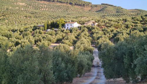 Cortijo Las Rodrigas - Foto 5