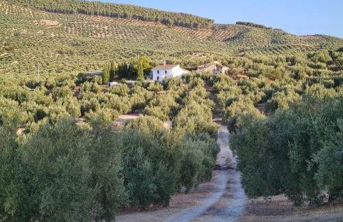 Cortijo Las Rodrigas - Foto 5