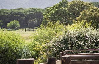 Tambor Del Llano - Foto 11