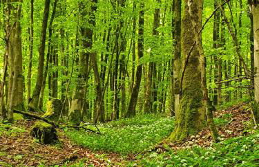 Haus Nordlicht - Foto 16