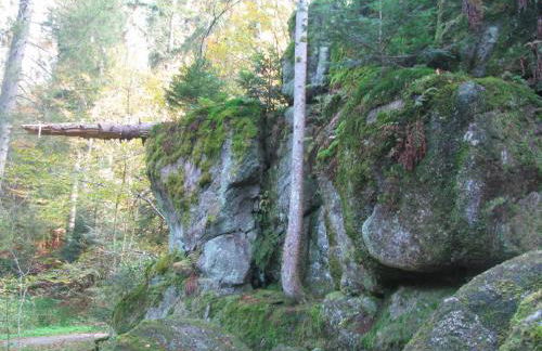 Haus Bergfrieden - Foto 40