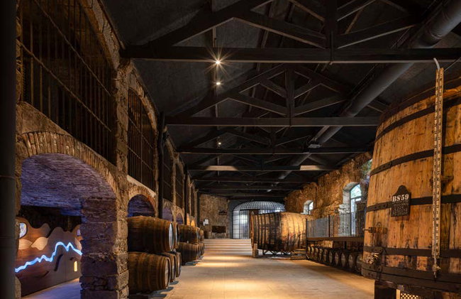 Visita a la bodega Burmester - Foto 5