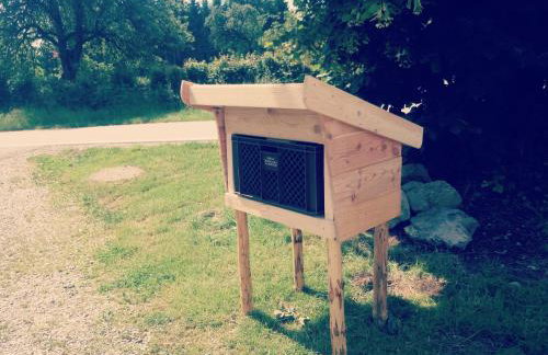 Allgäu Ferienhof Schönberger - Photo 43