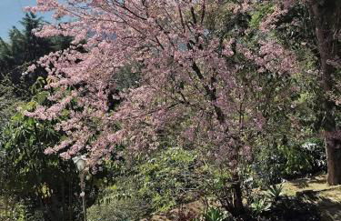 Apartamento Rústico Industrial nos Altos de Albuquerque - Photo 7
