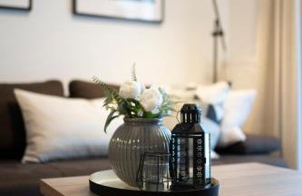 Premium Apartments Terme Sveti Martin - Foto 2