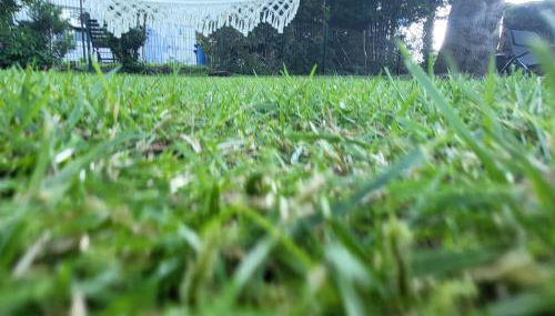 Westküste Ferienwohnung - Foto 2, Garden, Garden view