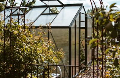 Thomashof Klein-Mutz - Foto 71