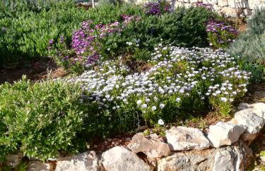 Kuća za odmor Maruška - Foto 18