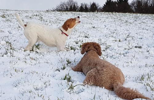 Ferienwohnung am Klosterweg Rhein-Westerwald - Foto 7