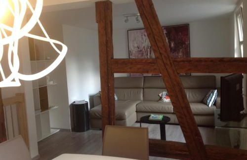 A L'ill - Apparts & Studios Strasbourg Hyper Centre - Foto 30