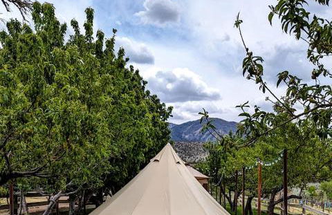 Quaint Bell Tent with Beautiful Vineyards Views in Cortez, Colorado - Foto 1
