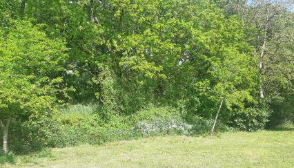 Casa de Corbelle - Foto 4, Garden