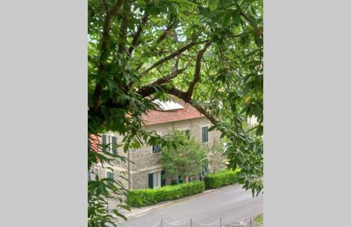 Il marchese Malaspina con idromassaggio - Foto 29