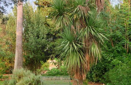 Sa Sinia - Finca en el corazón de la Tramuntana - Foto 43