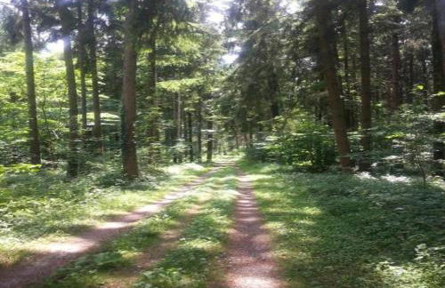 Ferienhaus in Markdorf mit Pool - Foto 37