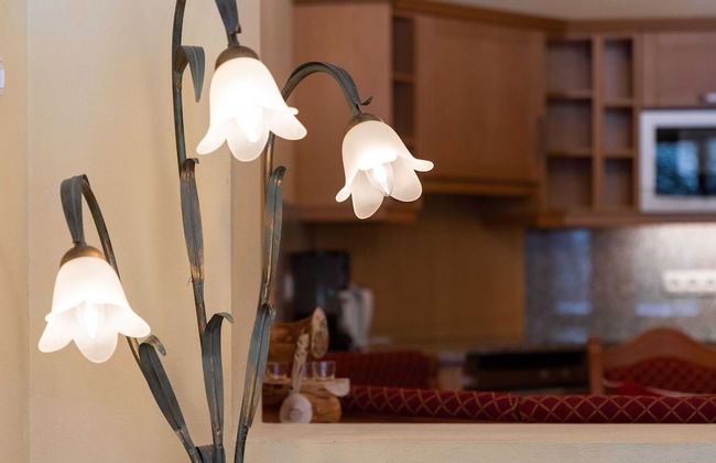 Chalet in Saalbach Near Ski Lift - Foto 21