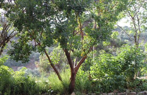 Casa Rural Camino de Hierro I y II - Foto 59