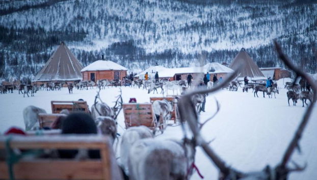 Discover the History of the Sami People with a Reindeer Sleigh Experience - Half-Day Tour - Photo 3