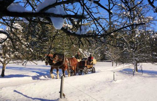 Bayerwald-Ferienhof Schmid - Foto 23