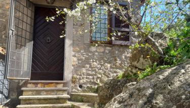 Autenticum Agriturismo Tolfa - Foto 4, Garden view