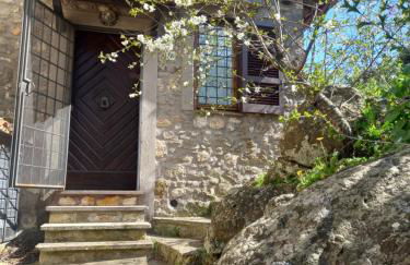 Autenticum Agriturismo Tolfa - Foto 4