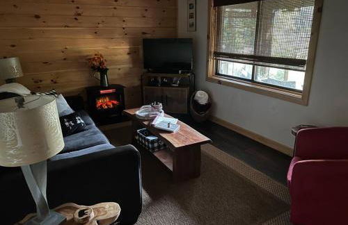 Cabin at the cove at Watauga Lake - Foto 26