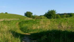 Familie Fritz - Foto 5