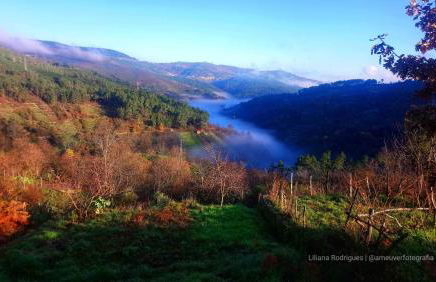 Casa Largo S Lourenço e Casa da Videira - Photo 26