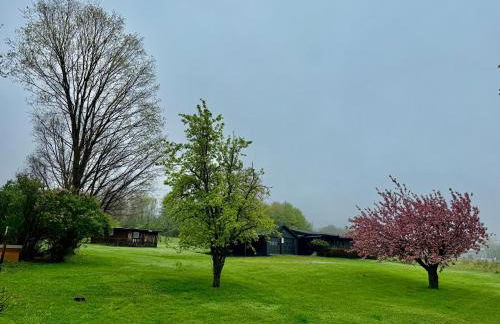 Purple Parrot - Foto 31