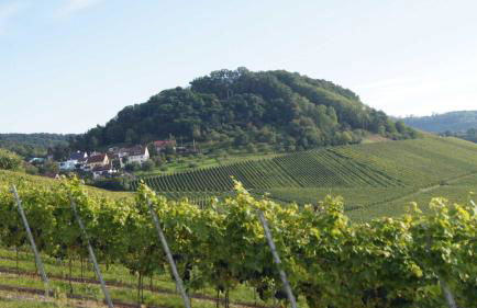 Gästehaus Winzerhof am Schlierbach - Foto 22