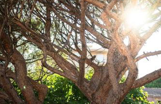 Calme et lumineux à 5min du port et des plages - Foto 14