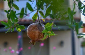 VillaBayViewCrete - Foto 65