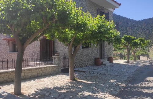 Πέτρινο - Foto 1